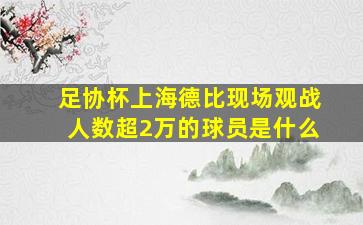 足协杯上海德比现场观战人数超2万的球员是什么