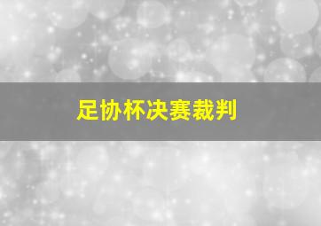 足协杯决赛裁判