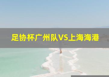 足协杯广州队VS上海海港