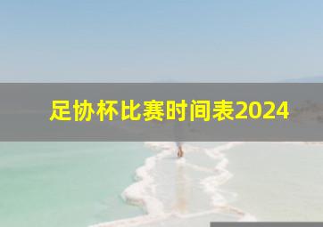 足协杯比赛时间表2024