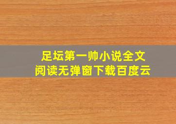 足坛第一帅小说全文阅读无弹窗下载百度云