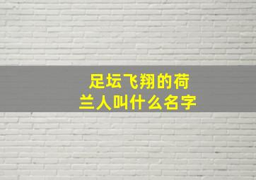 足坛飞翔的荷兰人叫什么名字