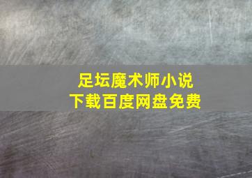 足坛魔术师小说下载百度网盘免费