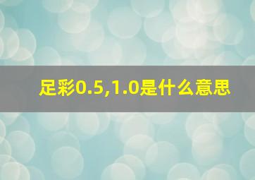 足彩0.5,1.0是什么意思