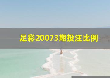 足彩20073期投注比例