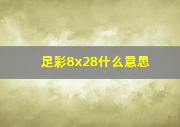 足彩8x28什么意思