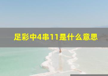 足彩中4串11是什么意思