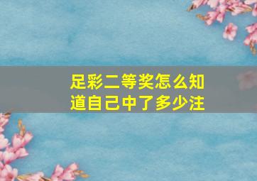 足彩二等奖怎么知道自己中了多少注