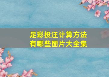 足彩投注计算方法有哪些图片大全集