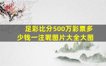 足彩比分500万彩票多少钱一注呢图片大全大图