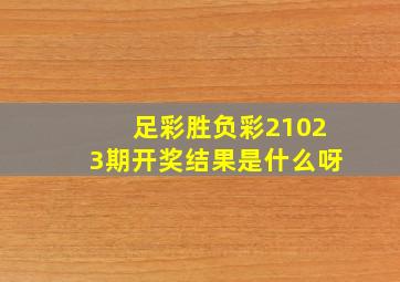 足彩胜负彩21023期开奖结果是什么呀