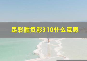 足彩胜负彩310什么意思