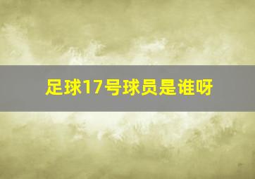 足球17号球员是谁呀