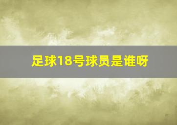 足球18号球员是谁呀