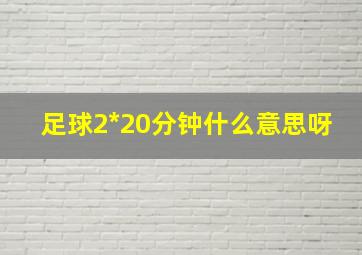 足球2*20分钟什么意思呀