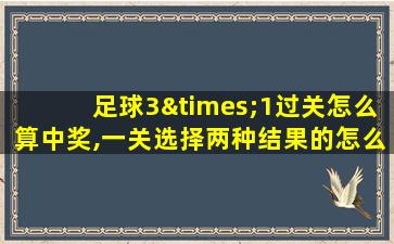 足球3×1过关怎么算中奖,一关选择两种结果的怎么算