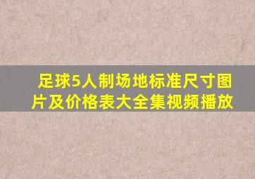 足球5人制场地标准尺寸图片及价格表大全集视频播放