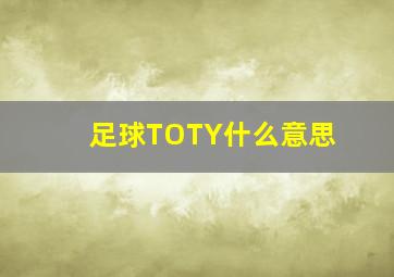 足球TOTY什么意思