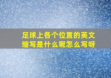 足球上各个位置的英文缩写是什么呢怎么写呀