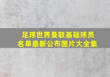 足球世界曼联基础球员名单最新公布图片大全集