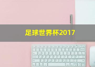 足球世界杯2017