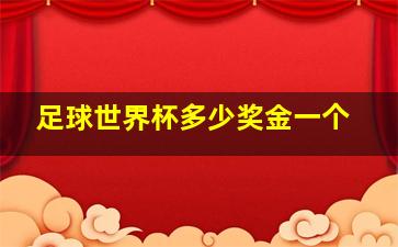 足球世界杯多少奖金一个