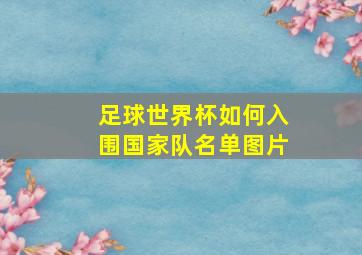 足球世界杯如何入围国家队名单图片