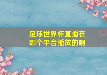 足球世界杯直播在哪个平台播放的啊