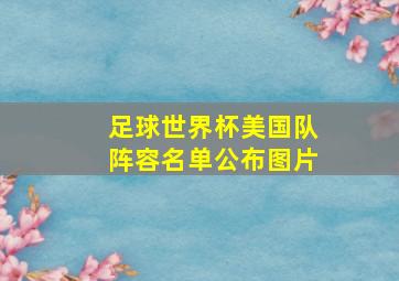 足球世界杯美国队阵容名单公布图片