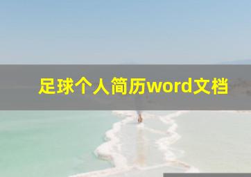 足球个人简历word文档