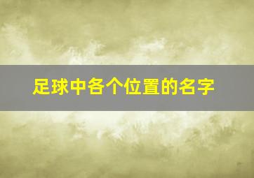 足球中各个位置的名字