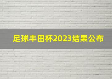 足球丰田杯2023结果公布