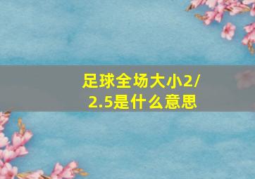 足球全场大小2/2.5是什么意思