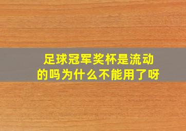 足球冠军奖杯是流动的吗为什么不能用了呀