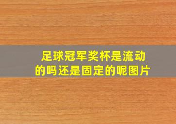 足球冠军奖杯是流动的吗还是固定的呢图片