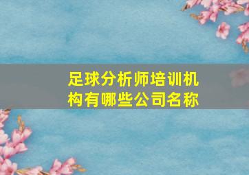 足球分析师培训机构有哪些公司名称