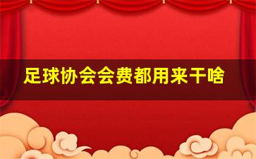 足球协会会费都用来干啥