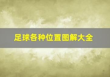 足球各种位置图解大全