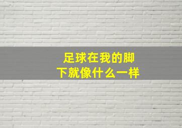 足球在我的脚下就像什么一样