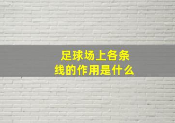 足球场上各条线的作用是什么