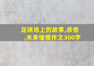 足球场上的故事,感悟,未来憧憬作文300字