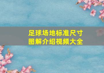 足球场地标准尺寸图解介绍视频大全