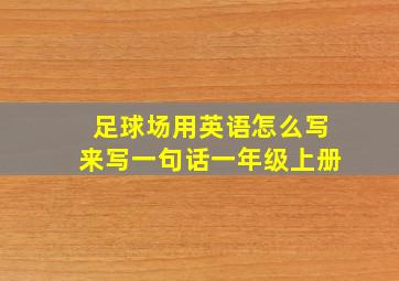 足球场用英语怎么写来写一句话一年级上册