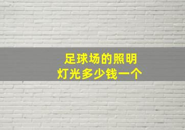 足球场的照明灯光多少钱一个