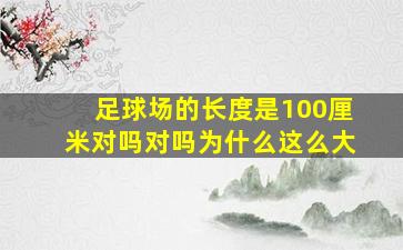 足球场的长度是100厘米对吗对吗为什么这么大