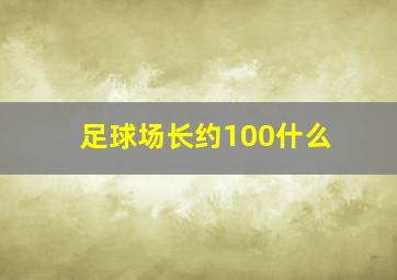 足球场长约100什么