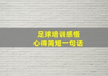 足球培训感悟心得简短一句话