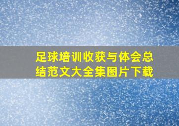 足球培训收获与体会总结范文大全集图片下载