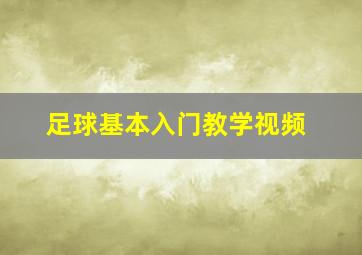 足球基本入门教学视频