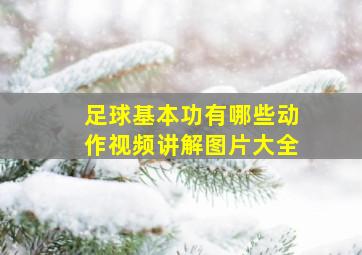 足球基本功有哪些动作视频讲解图片大全